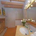 Frida 萨罗